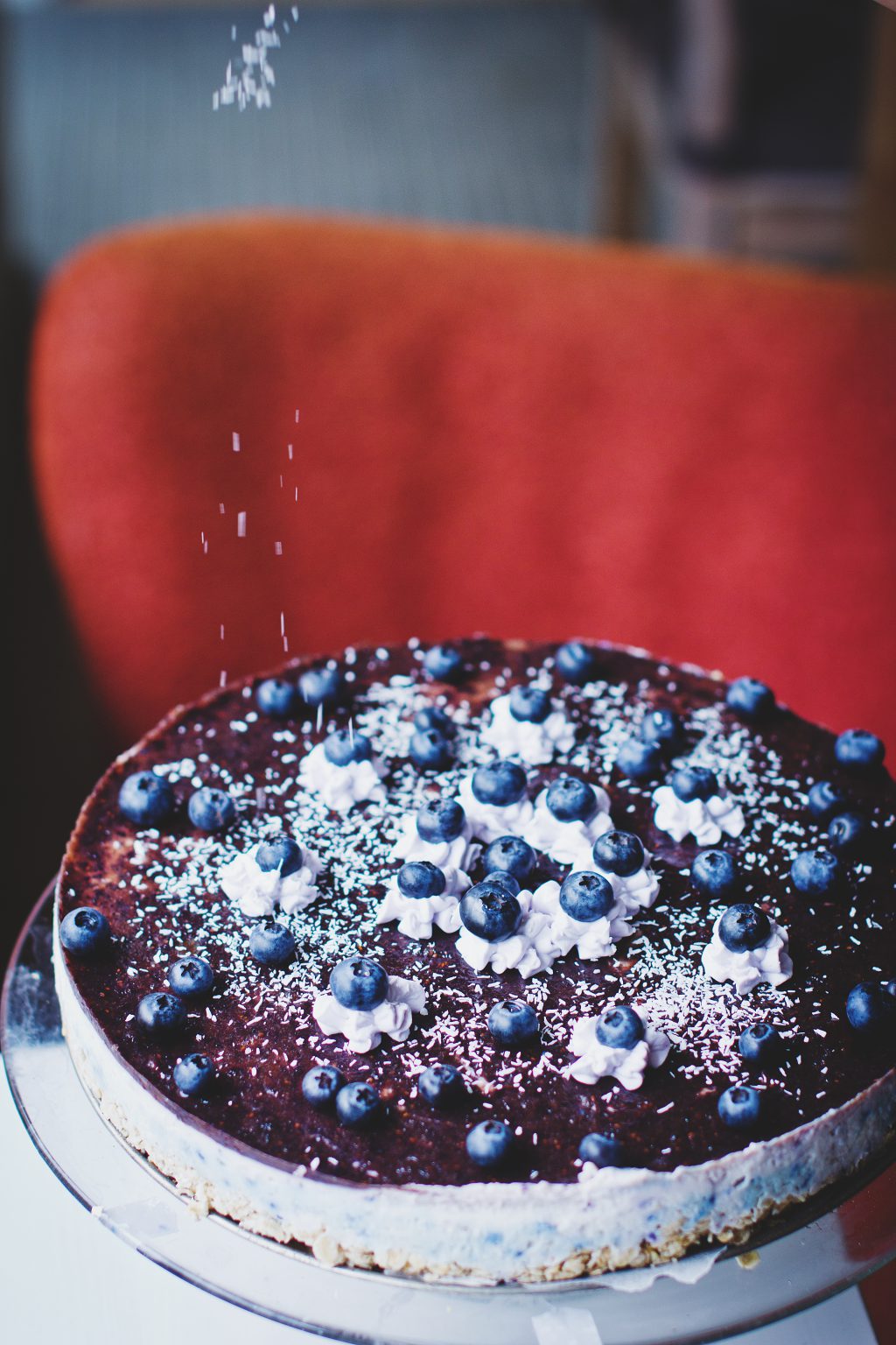 Coconut and blueberry cheesecake 2 - free stock photo