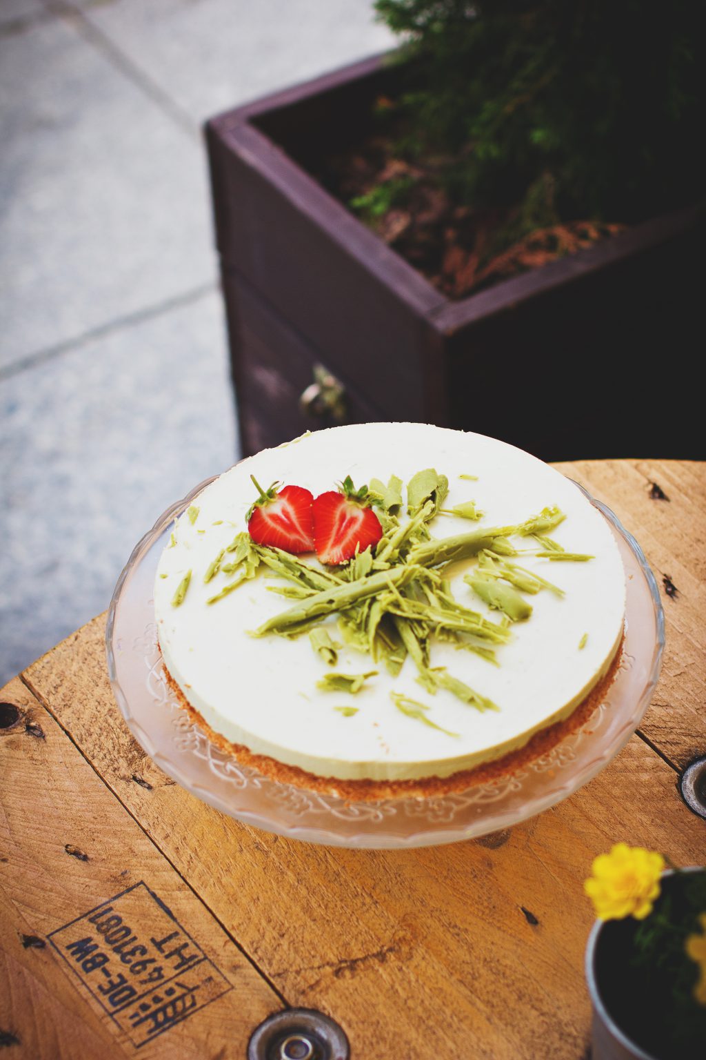 Eight Issues People Hate About Succulent Propagation Timeline