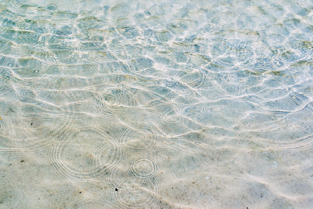 Clear water - freestocks.org - Free stock photo