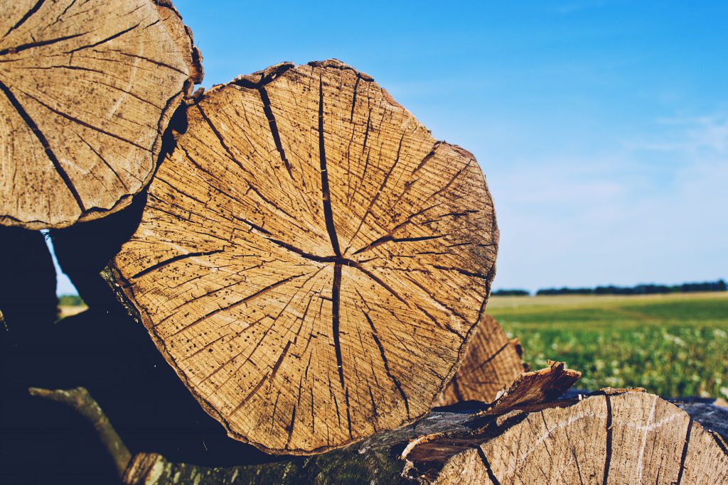 Wood - free stock photo