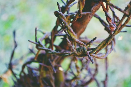 Rusty barbed wire - free stock photo