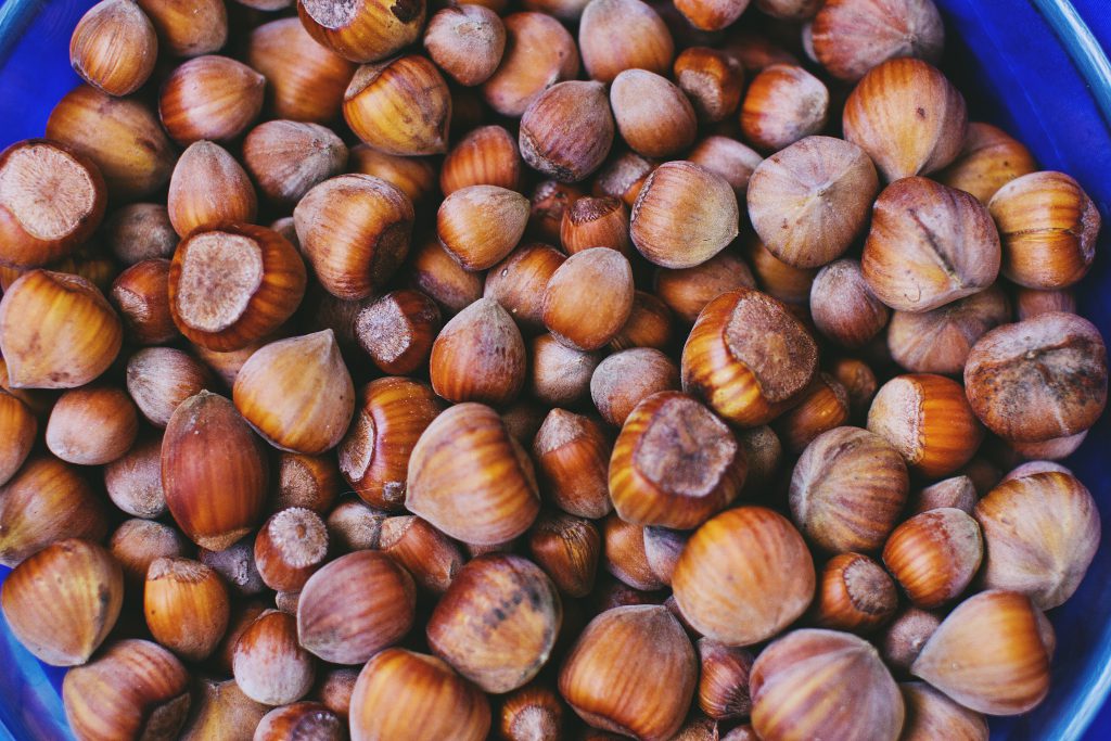 Hazelnuts - free stock photo