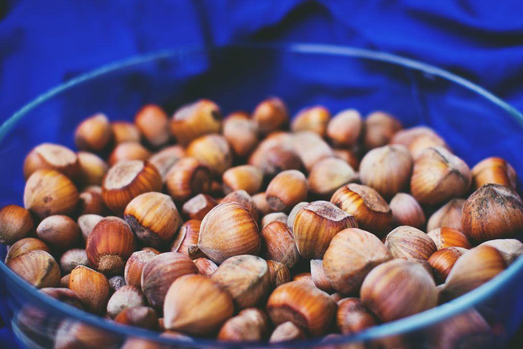 Bowl of hazelnuts - free stock photo