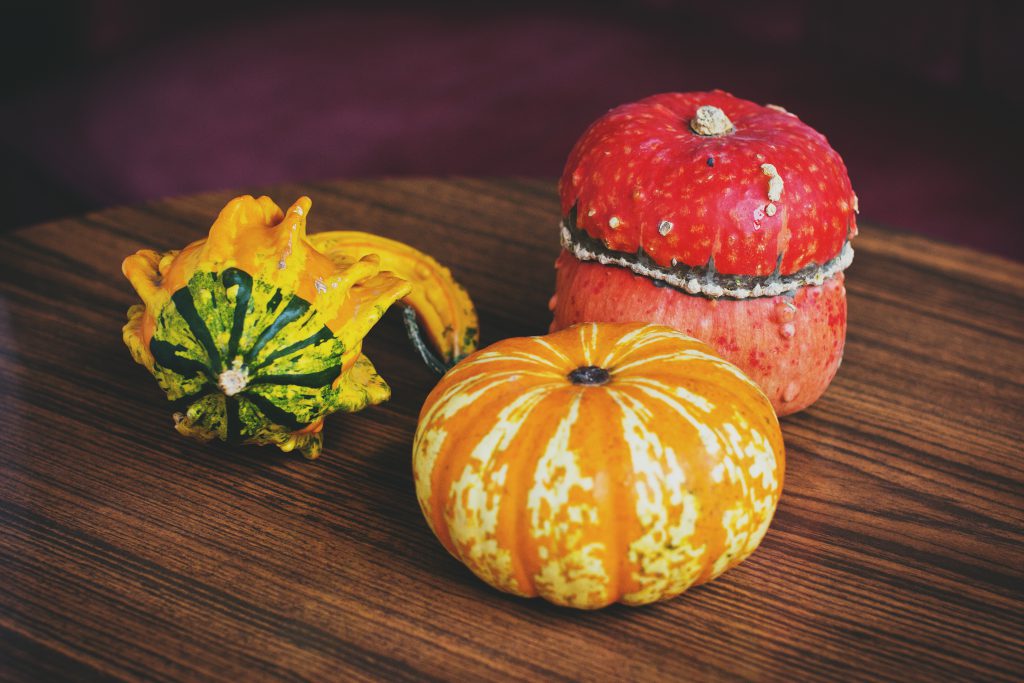 Pumpkins - free stock photo