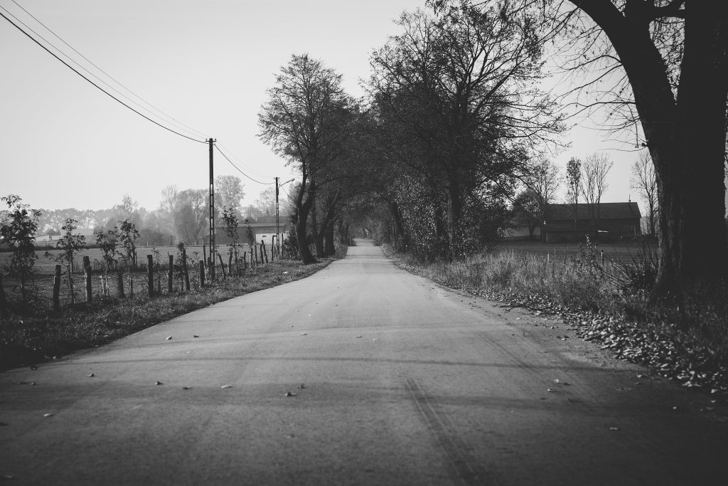 Country road - free stock photo