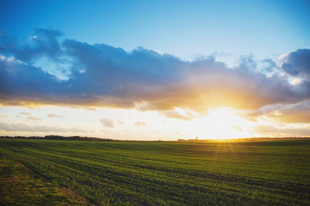 Winter sunset - free stock photo