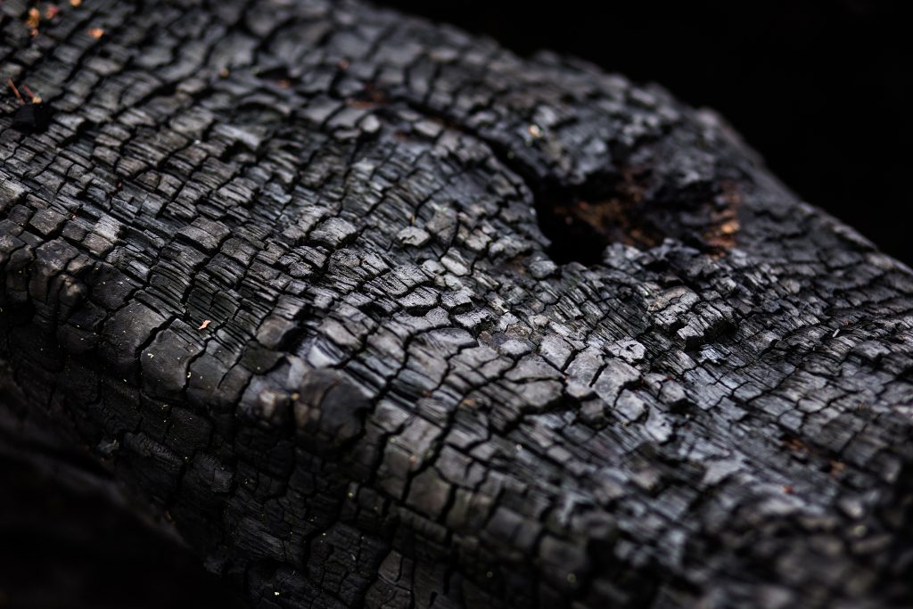 Burnt trunk - free stock photo