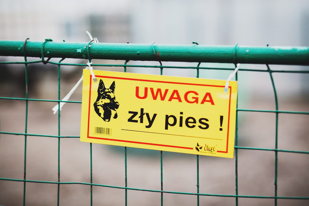 Warning! Bad dog! - free stock photo