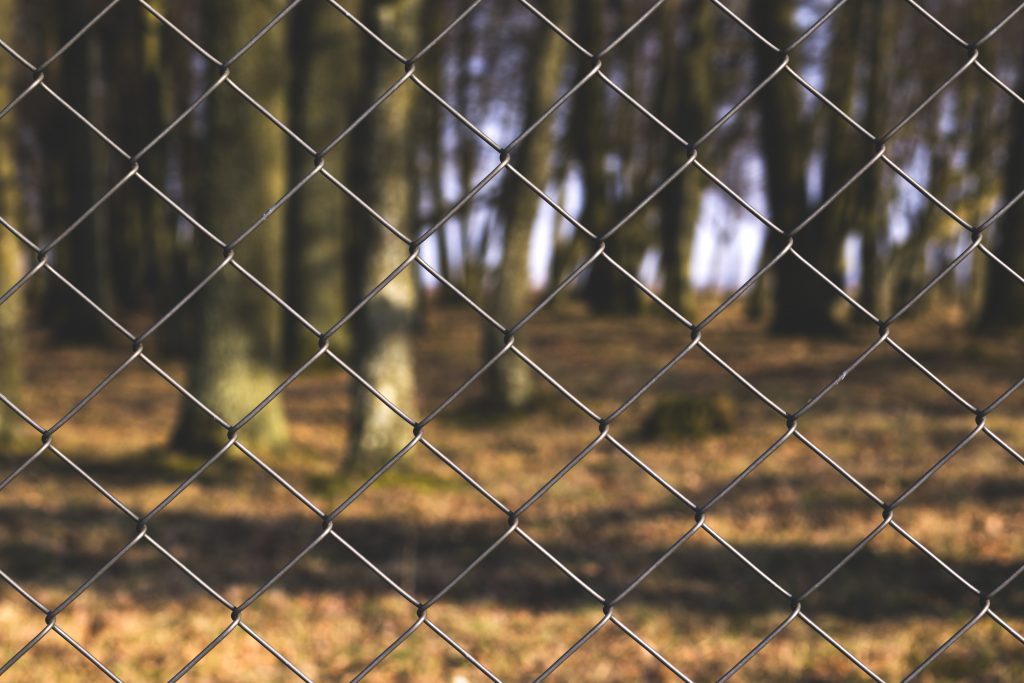 fence-1024x683.jpg