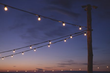Light bulbs - free stock photo