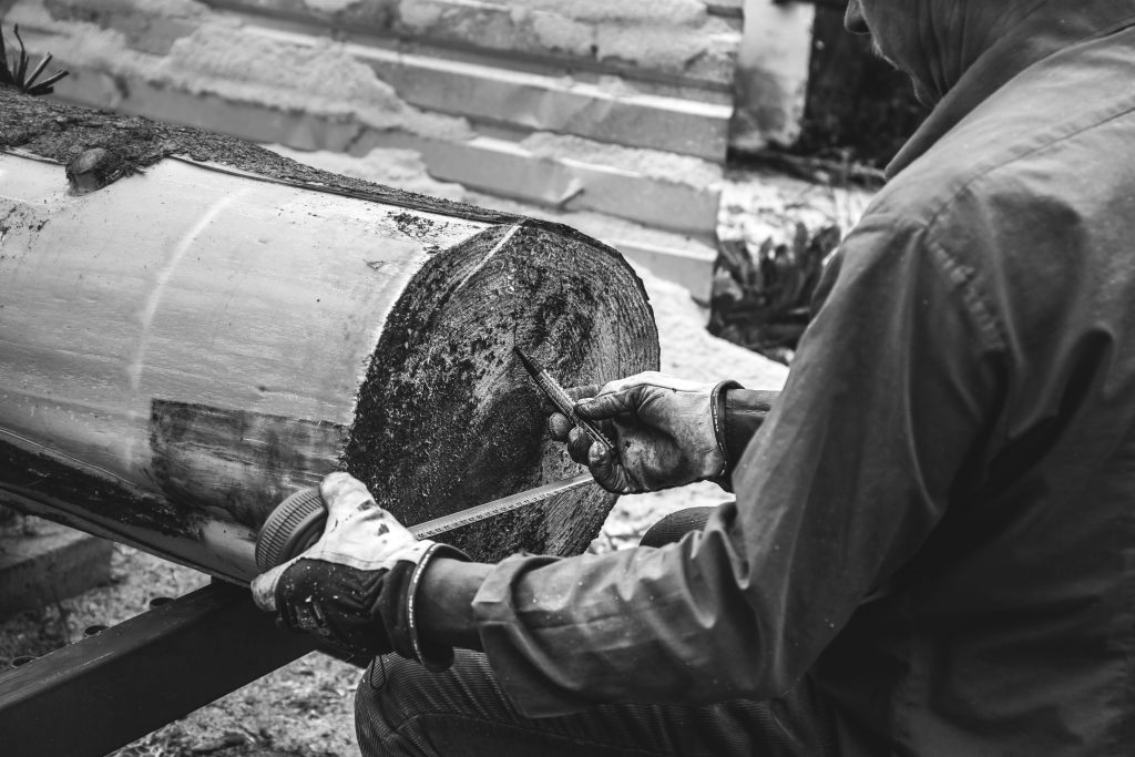 Man measuring tree trunk - free stock photo