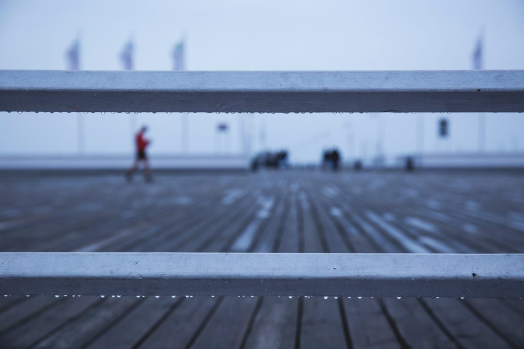 Rainy mood - free stock photo