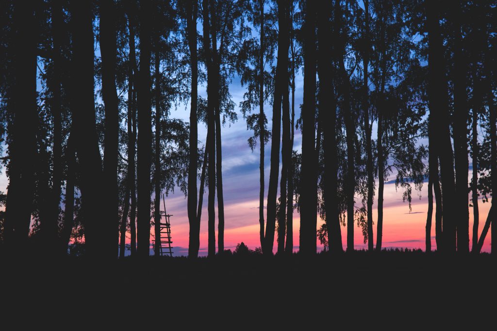 Sky at dusk 3 - free stock photo