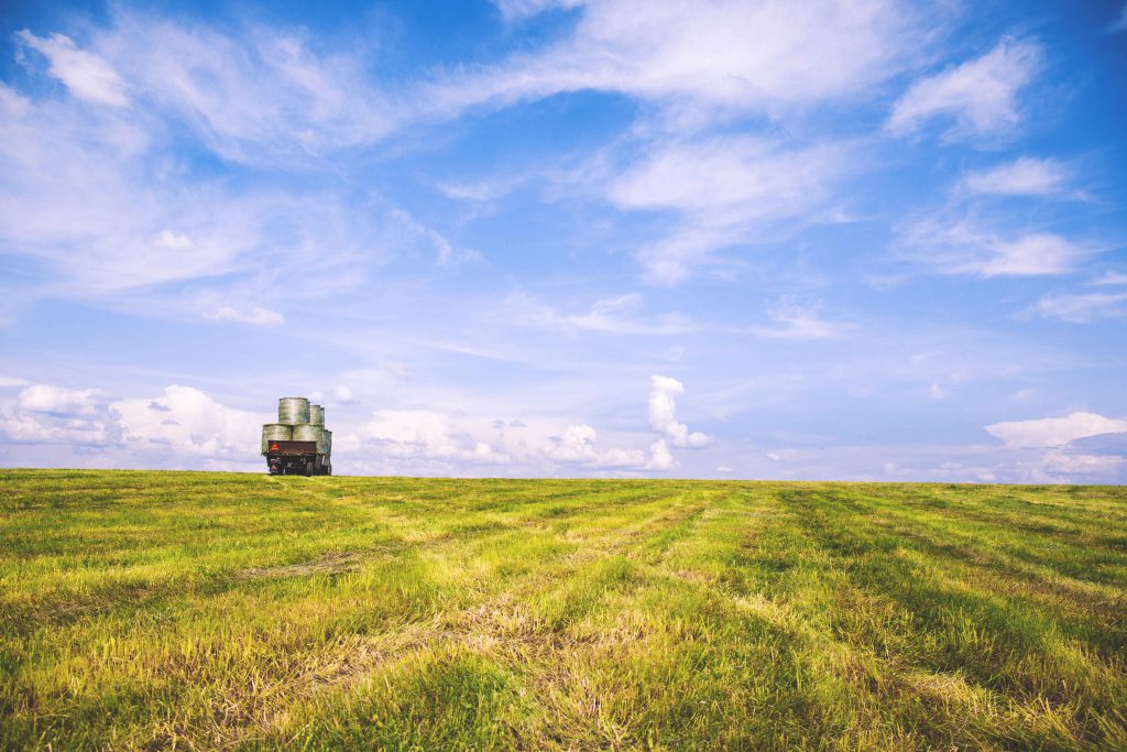 Work In The Field 2 1024x683