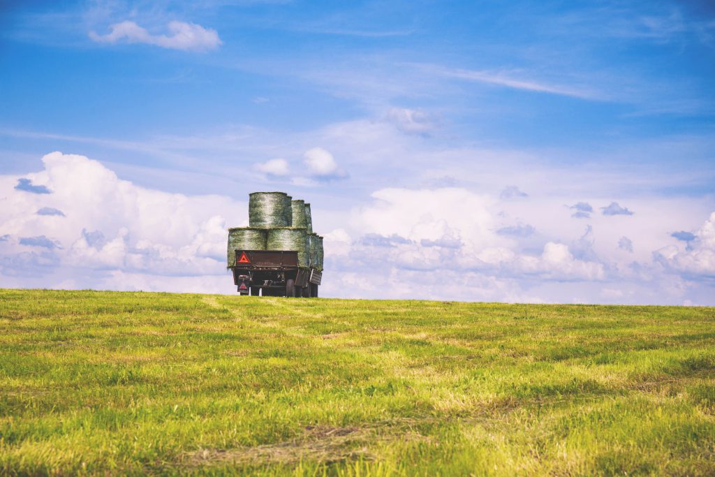 Work in the field 3 - free stock photo