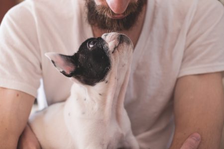 Man with a puppy - free stock photo