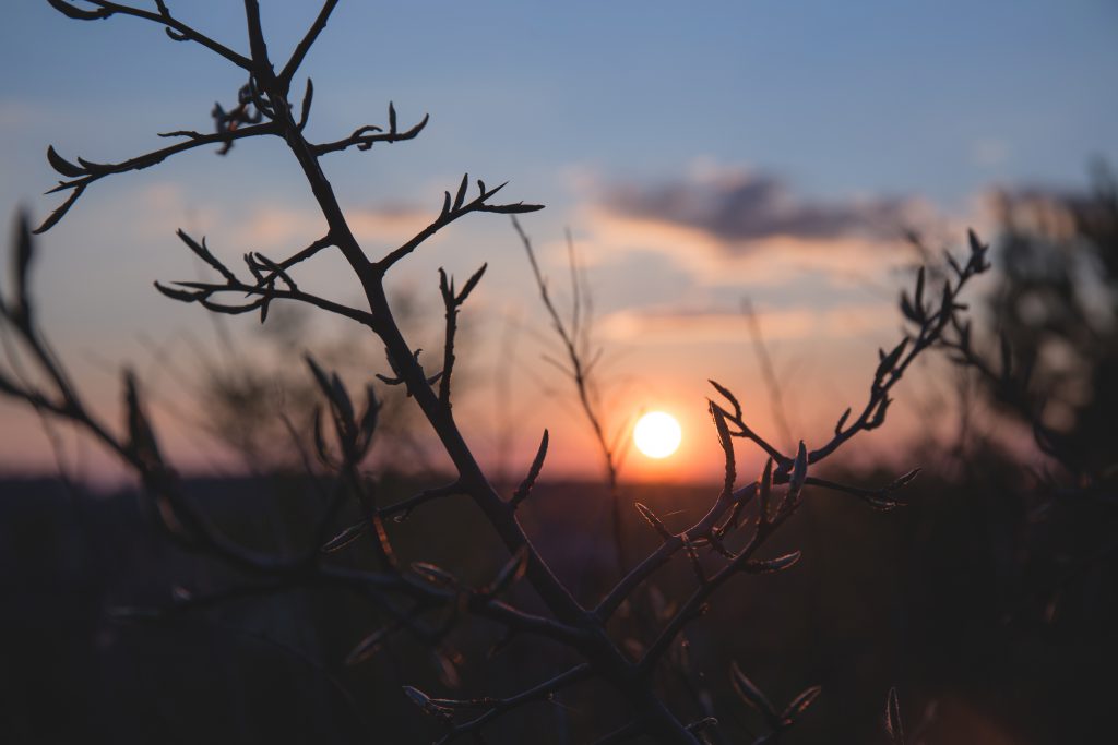 Spring sunset - free stock photo