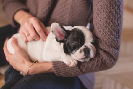Woman with a puppy - free stock photo