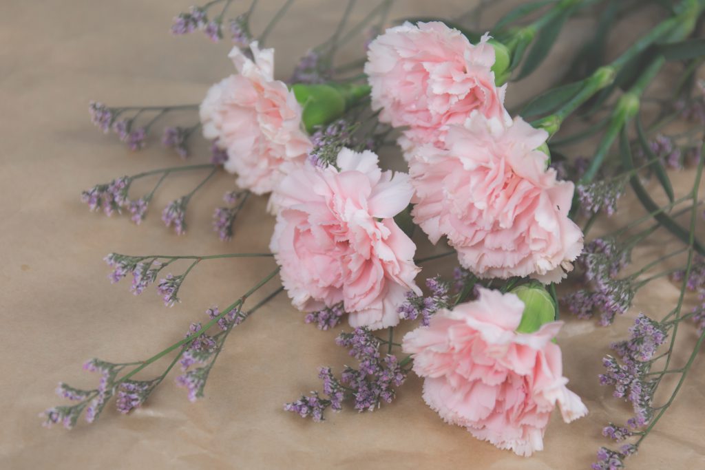 Benefits Of Succulents Etics And Etiquette