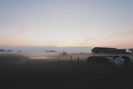 Evening mist - free stock photo