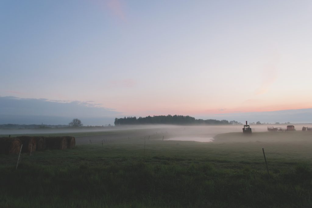 Evening mist 3 - free stock photo