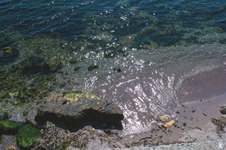 Rocky beach - free stock photo