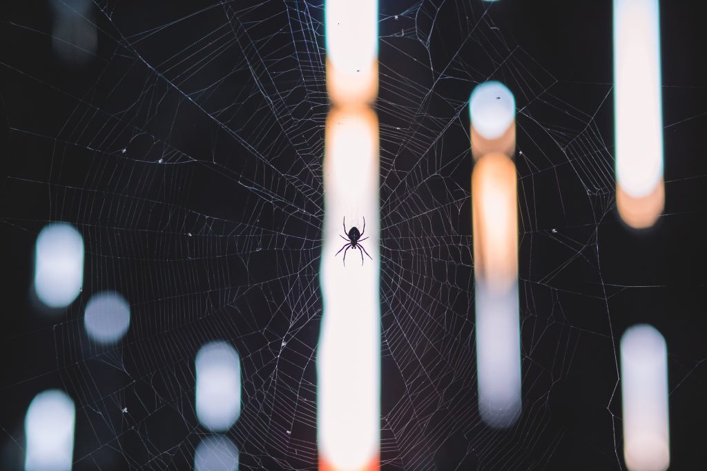 https://freestocks.org/fs/wp-content/uploads/2016/08/spiders_web-1024x683.jpg