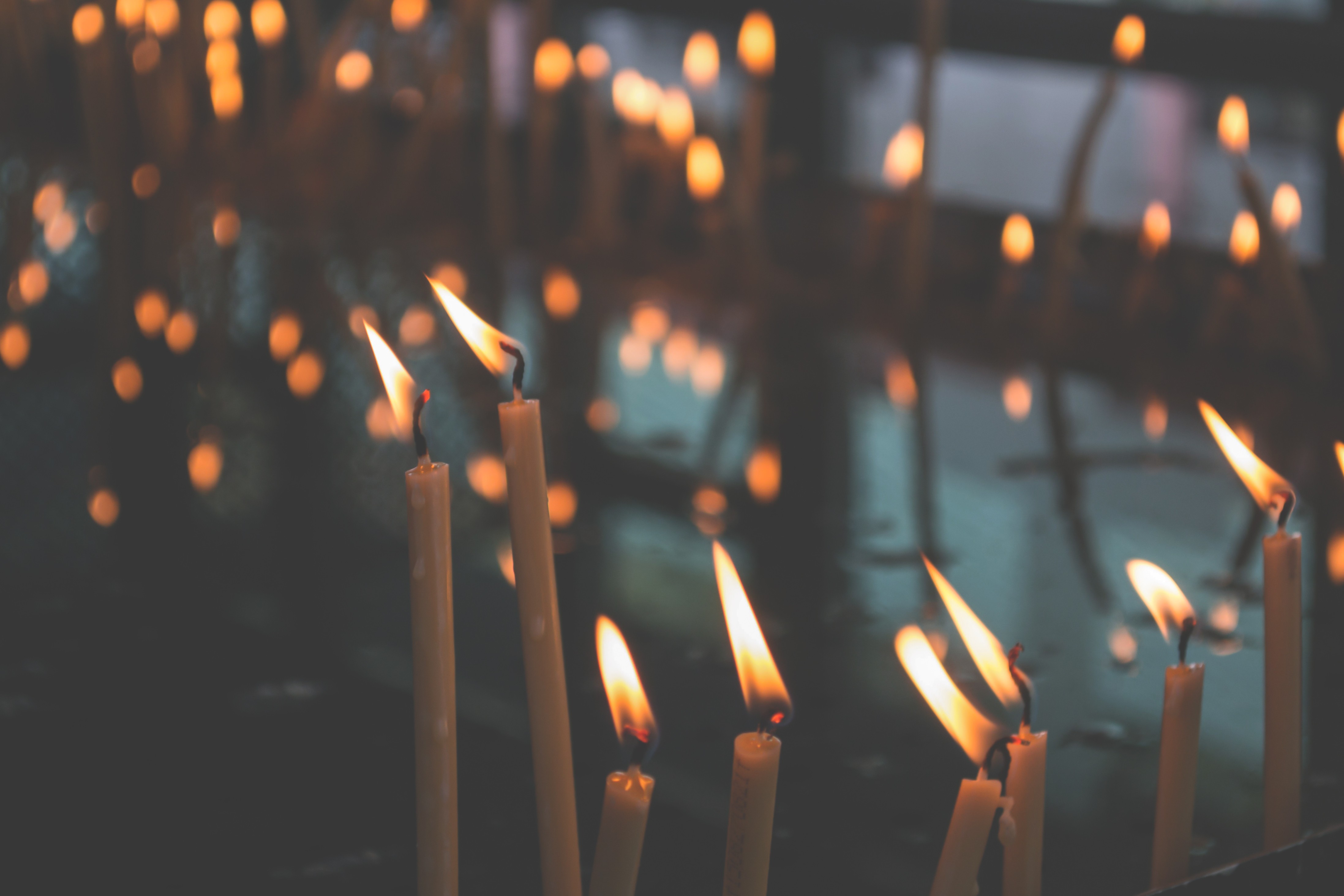 Votive candles - freestocks.org - Free stock photo