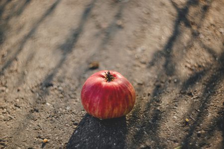 Apple on the road - free stock photo