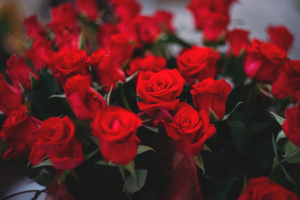 Big bouquet of red roses - free stock photo