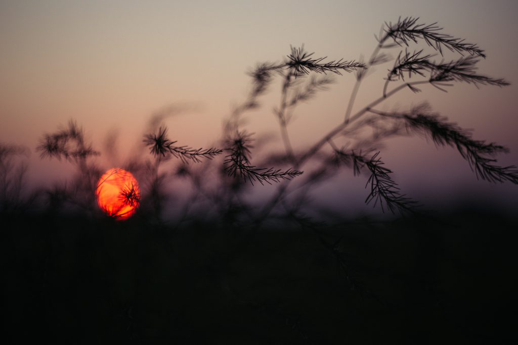 Blurry Sunset 2 - Freestocks.org - Free Stock Photo