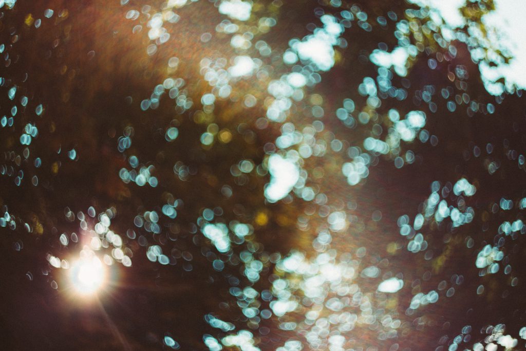 Defocused tree bokeh - free stock photo