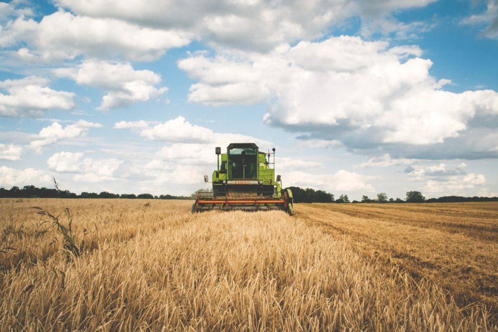 Harvest - free stock photo