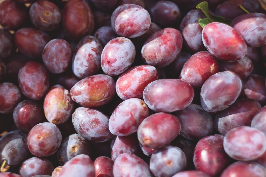 Plums - free stock photo