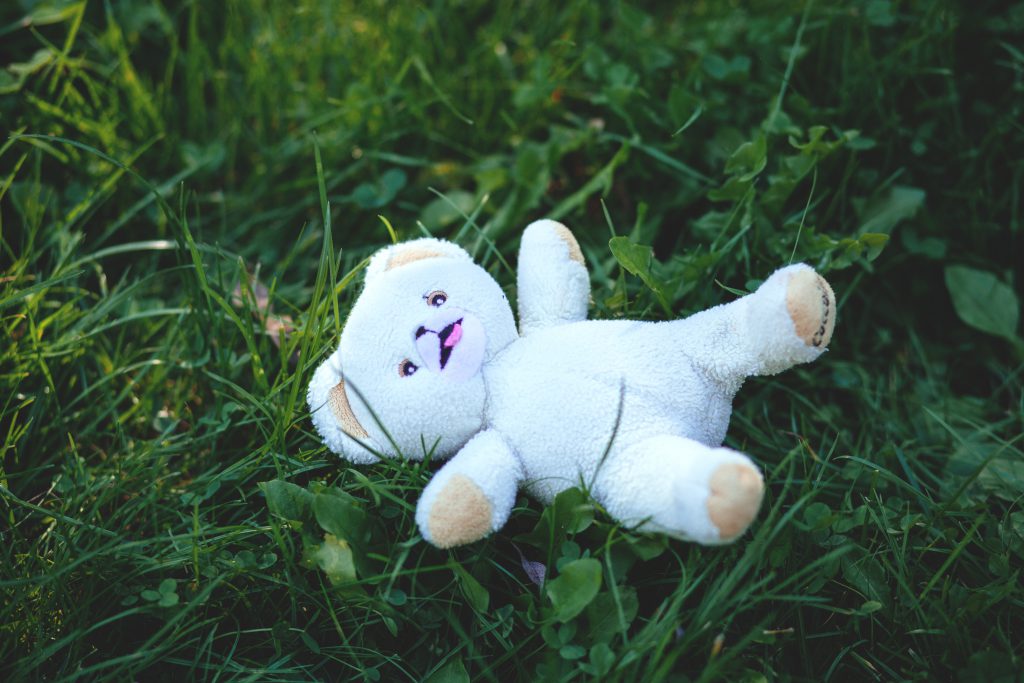 Teddy bear in grass - free stock photo