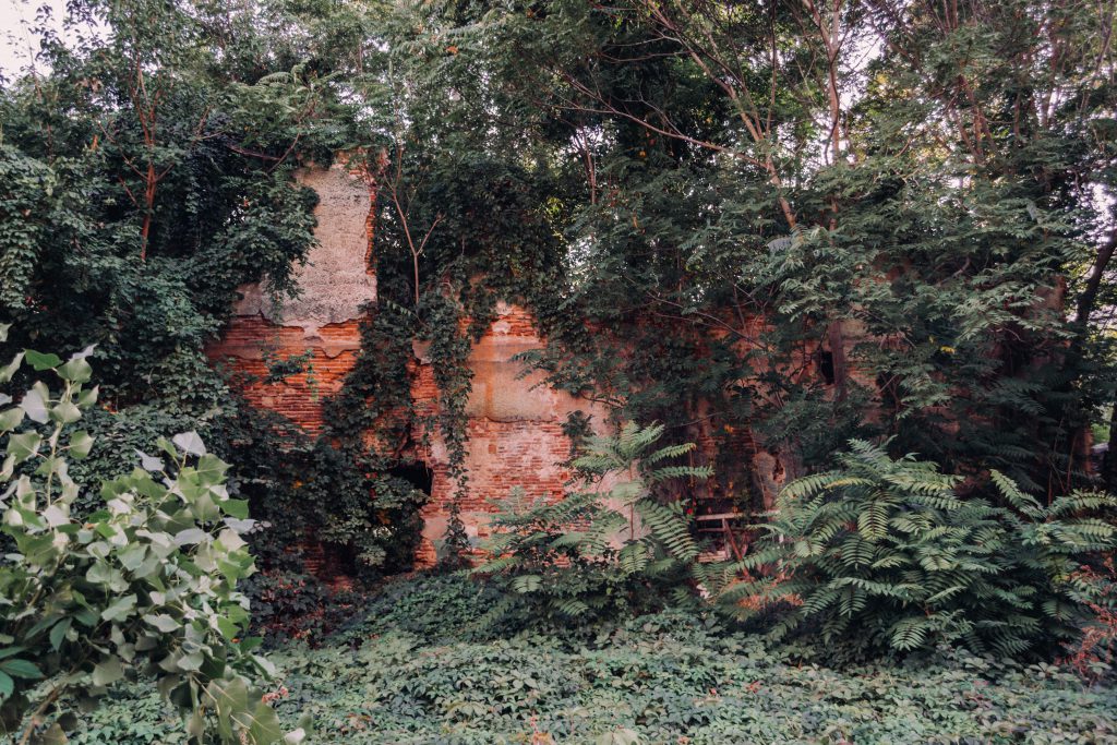 Abandoned ruined house - free stock photo