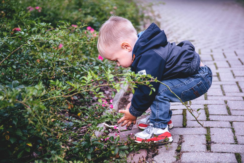 boy_picking_flowers-1024x683.jpg