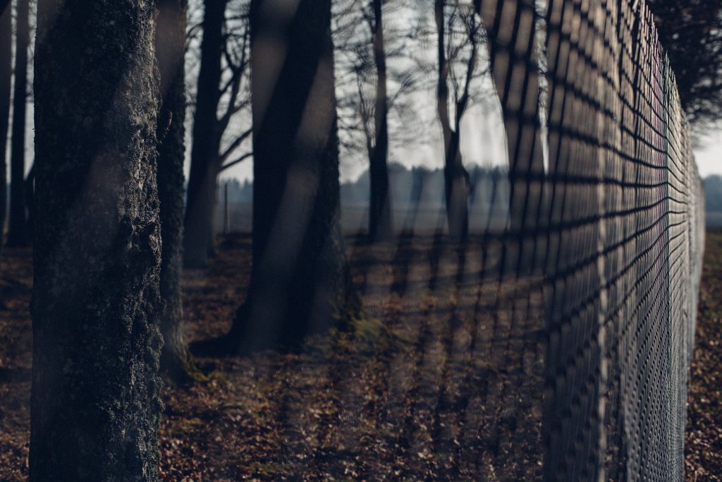 Fence 2 - free stock photo