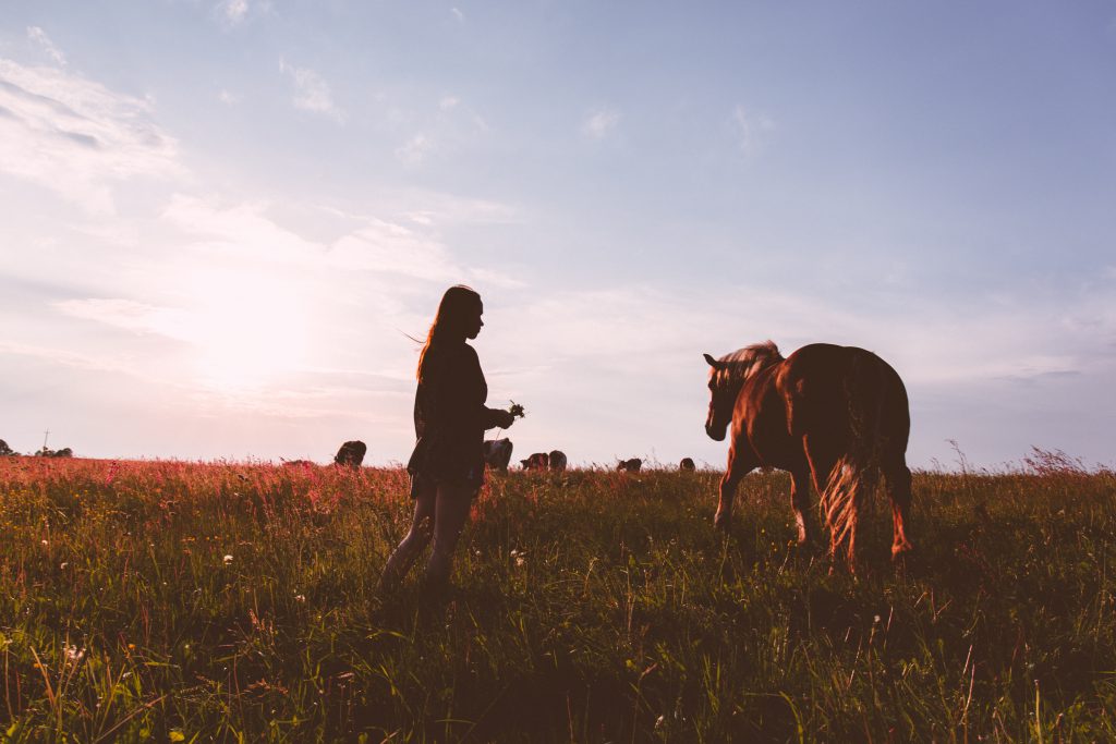 girl_and_a_horse-1-1024x683.jpg