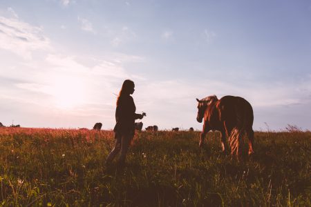 Girl and a horse - free stock photo