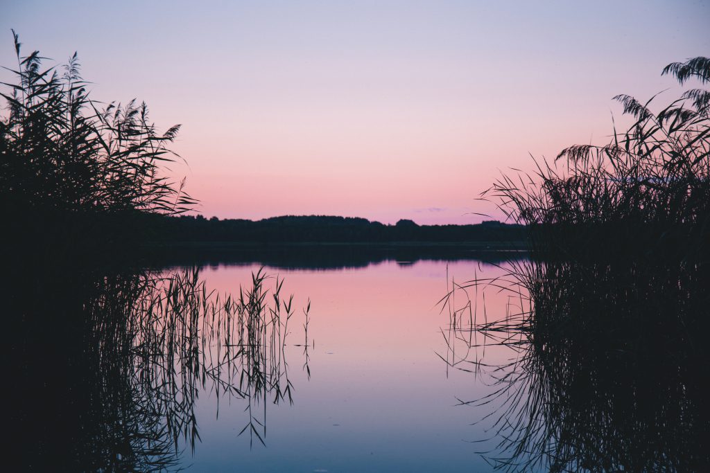 Late sunset at the lake - free stock photo