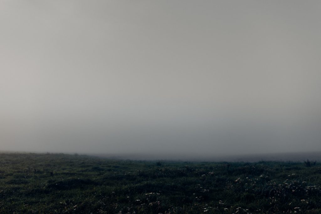 Morning fog in the meadow - free stock photo