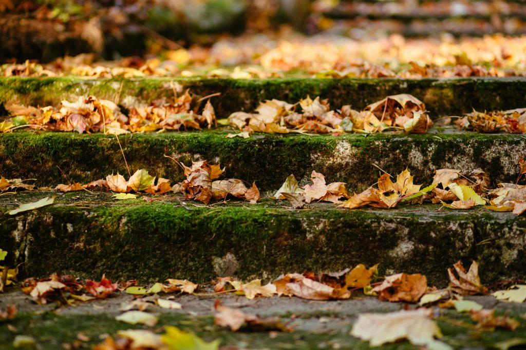 park_stairs_in_autumn-1024x683.jpg