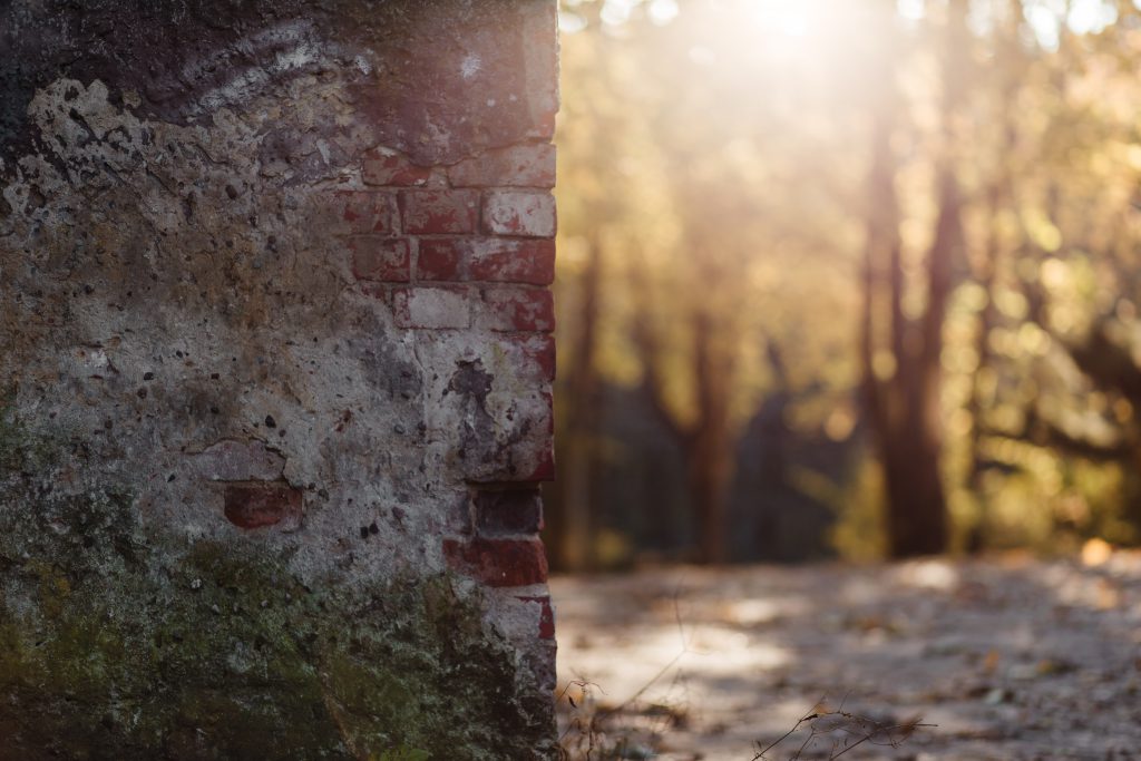 Park wall - free stock photo