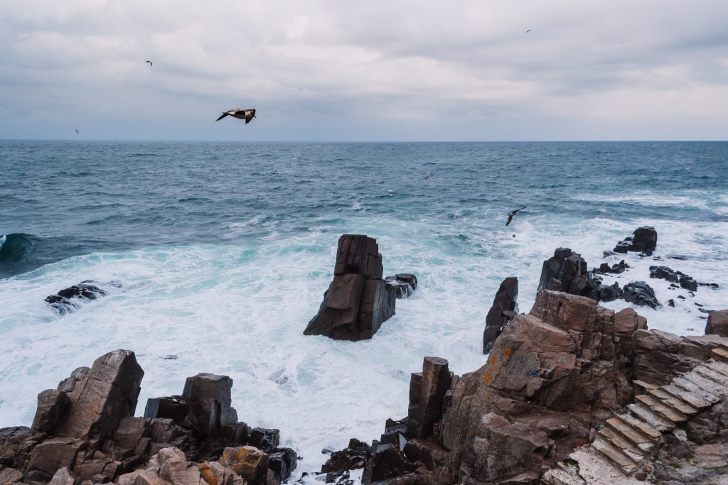 rocks_on_the_seashore-1024x683.jpg