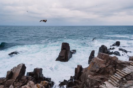 Rocks on the seashore - free stock photo