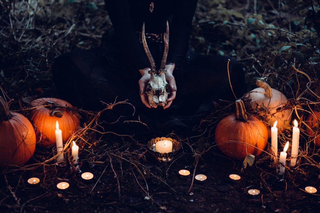 Spooky Halloween scene - free stock photo