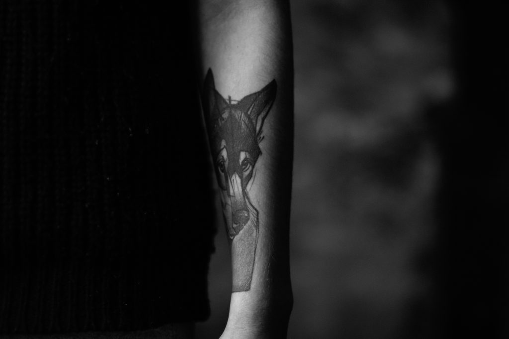 Wolf tattoo - free stock photo