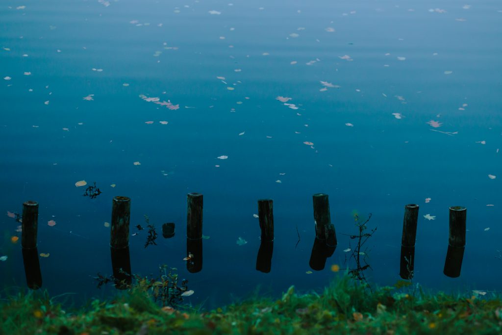 Wood breakwaters - free stock photo