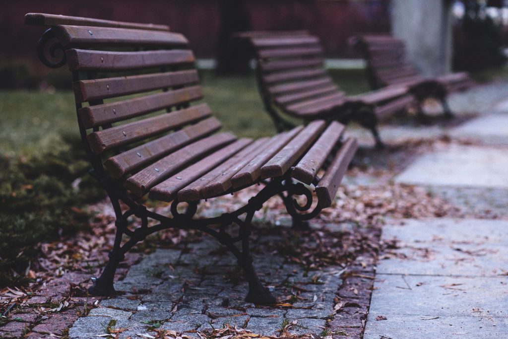 Benches in the park - free stock photo